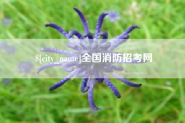 老河口全国消防招考网