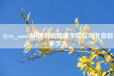 老河口中国消防救援学院在河北省招多少人