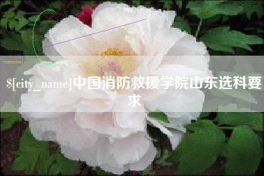 老河口中国消防救援学院山东选科要求