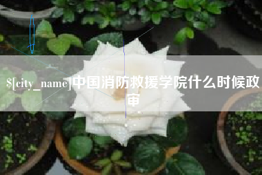老河口中国消防救援学院什么时候政审