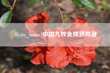 老河口中国九枚金牌获得者