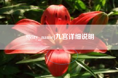 老河口九宫详细说明