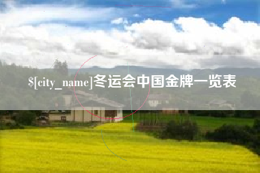老河口冬运会中国金牌一览表