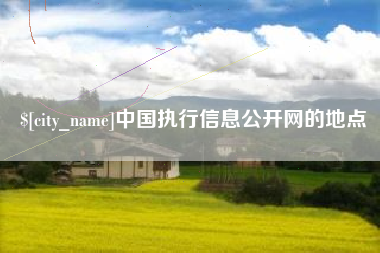 老河口中国执行信息公开网的地点