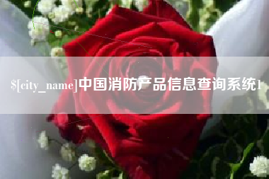 老河口中国消防产品信息查询系统1