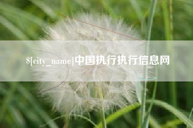 老河口中国执行执行信息网