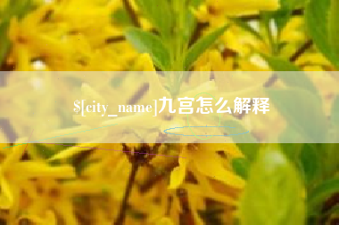 老河口九宫怎么解释