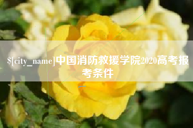 老河口中国消防救援学院2020高考报考条件