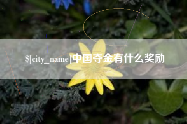 老河口中国夺金有什么奖励