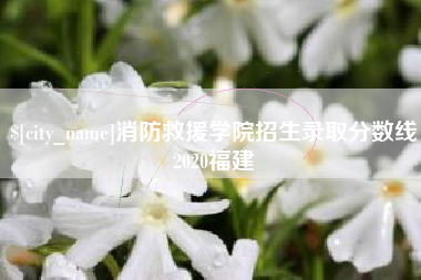老河口消防救援学院招生录取分数线2020福建