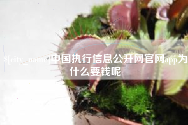老河口中国执行信息公开网官网app为什么要钱呢