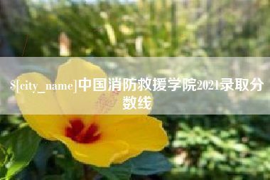 老河口中国消防救援学院2021录取分数线