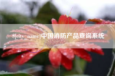 老河口中国消防产品查询系统
