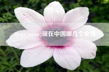 老河口现在中国哪几个金牌