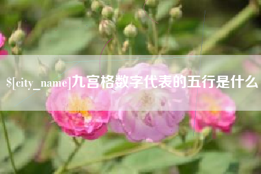 老河口九宫格数字代表的五行是什么
