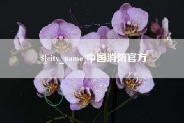 老河口中国消防官方
