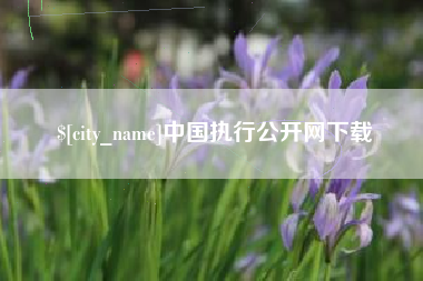 老河口中国执行公开网下载