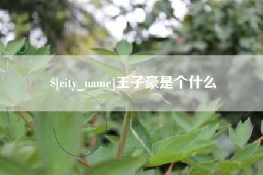 老河口王子豪是个什么
