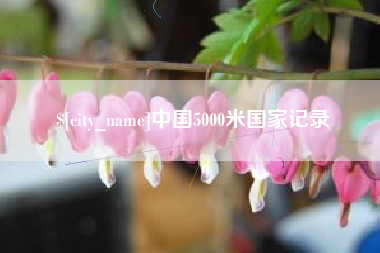 老河口中国5000米国家记录