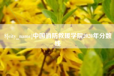 老河口中国消防救援学院2020年分数线