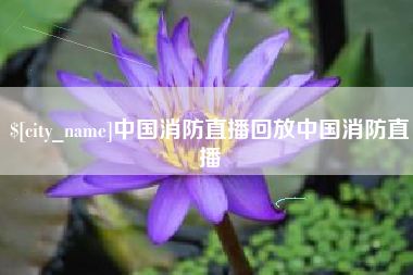老河口中国消防直播回放中国消防直播