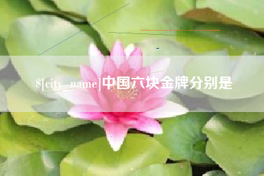 老河口中国六块金牌分别是