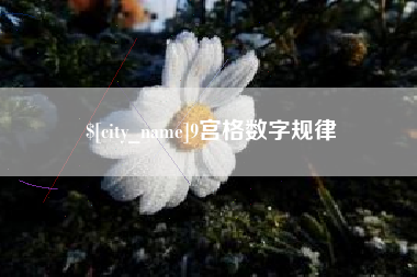 老河口9宫格数字规律