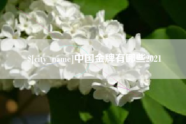 老河口中国金牌有哪些2021