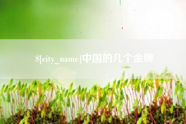 老河口中国的几个金牌