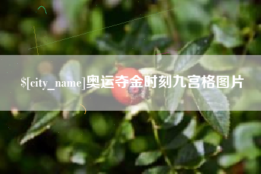 老河口奥运夺金时刻九宫格图片