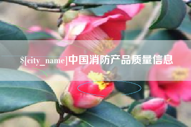 老河口中国消防产品质量信息