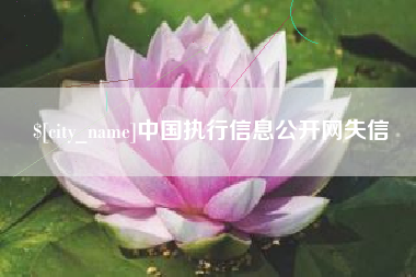 老河口中国执行信息公开网失信