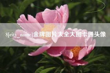 老河口金牌图片大全大图卡通头像