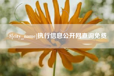 老河口执行信息公开网查询免费
