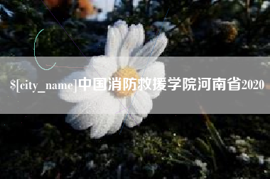 老河口中国消防救援学院河南省2020